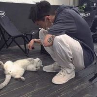 qq炫舞头像钻石闪