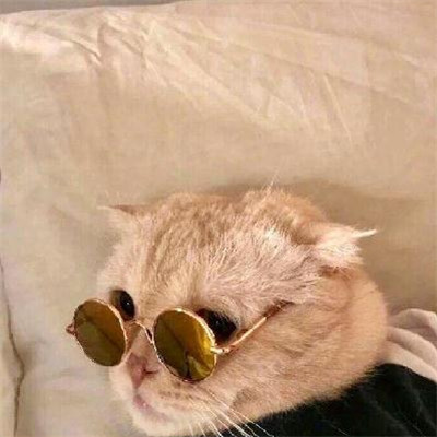 手机微信头像免费下载