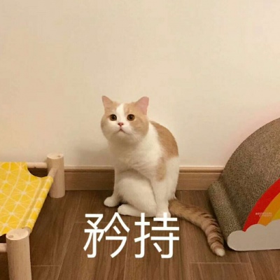老六头像搞笑