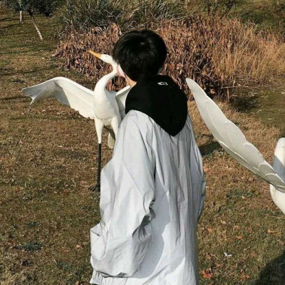 搞怪头像图片逗比 小男孩