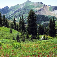 风景头像山水自然风景
