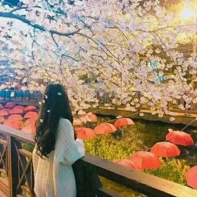 2023头像女最新版的背影