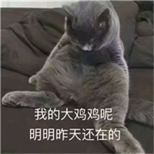 狗的搞笑网名