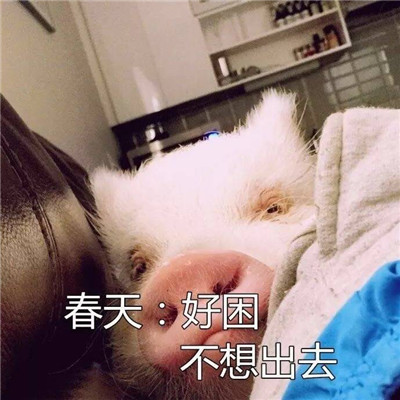 头像带字图片