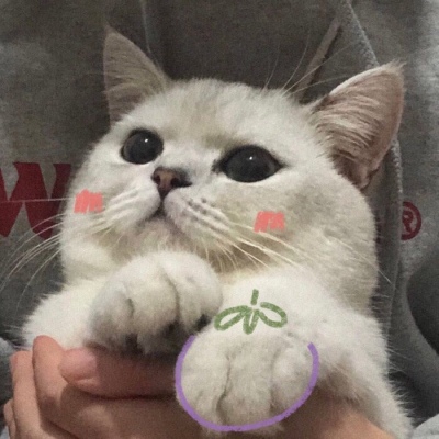 微信可爱头像