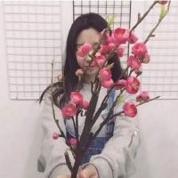 小清新森系女生网名