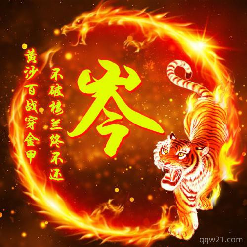 2023年老虎微信头像