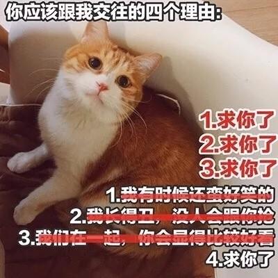 头像大全搞笑带字