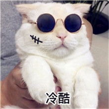 微信头像搞笑又不幼稚