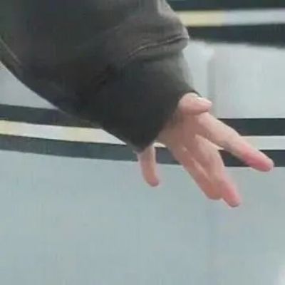 情侣头像沙雕动物
