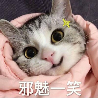 图片有趣搞笑头像