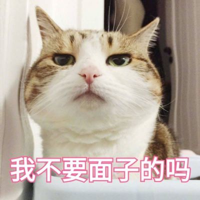 视频剪辑头像高清