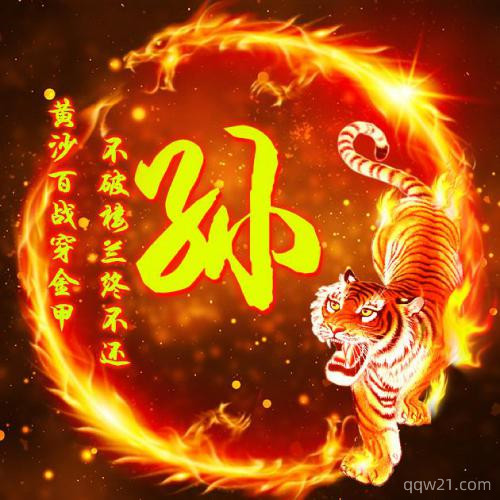 老虎为背景姓氏头像