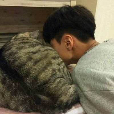 喜欢用可爱动物头像的男生