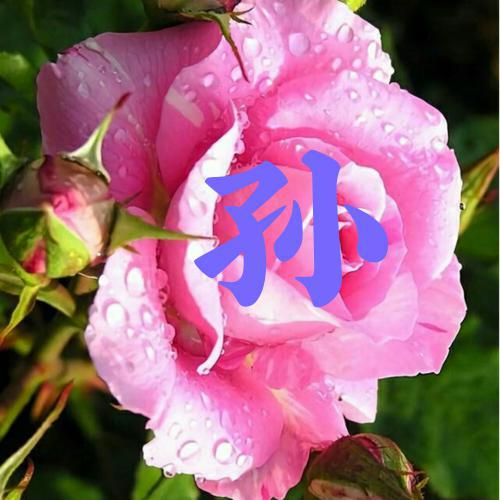 女人好运招财的微信头像2023