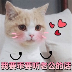 迪迦奥特曼头像搞笑