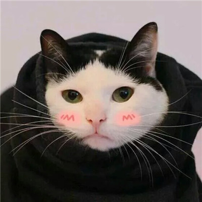 天猫店铺头像logo
