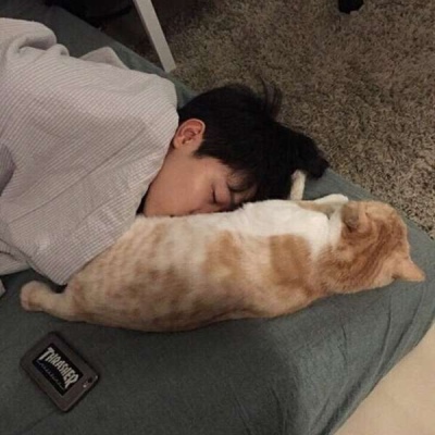 小羊的微信头像