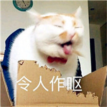 有趣的微信头像动物