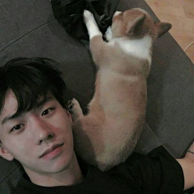 可爱头像小动物男