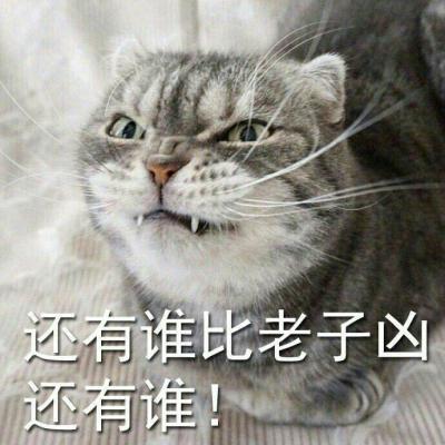 霸气动物头像