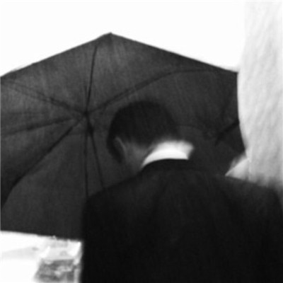 永久不换冷门的头像