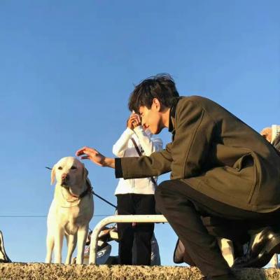 志的谐音网名
