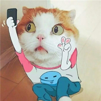 头像搞怪但很好看