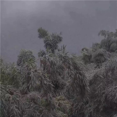 头像风景唯美小意境高清