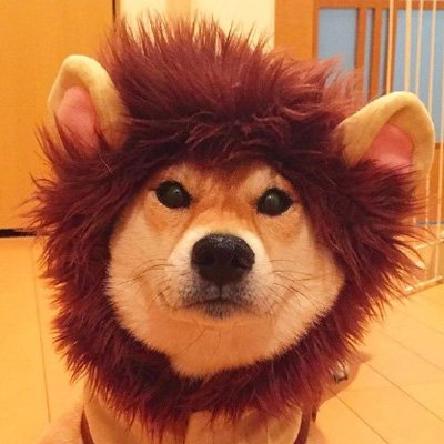 头像狗子搞笑