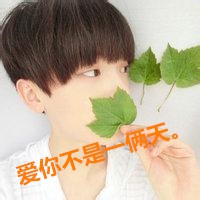 奇奇怪怪的头像动物