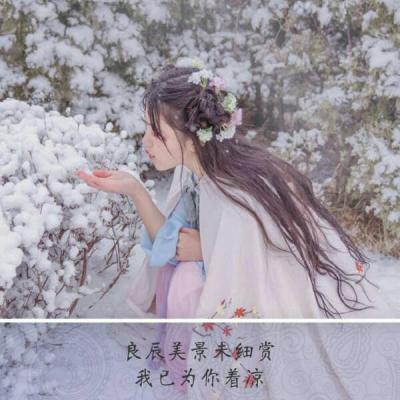 微信头像带字图片大全最新版