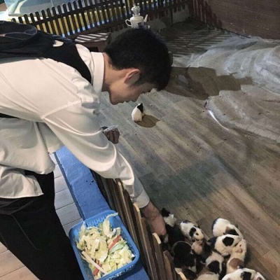 抖音工作人员头像