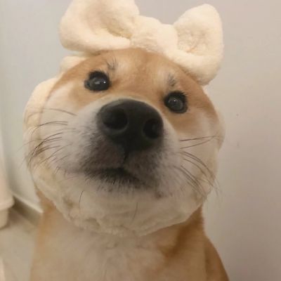 优雅的六字网名