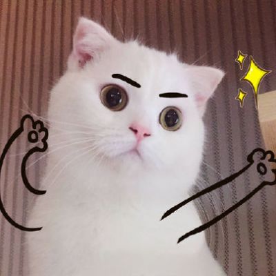 2023微信头像图片大全动物