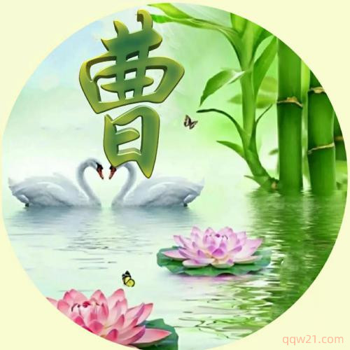 招财头像女人聚财