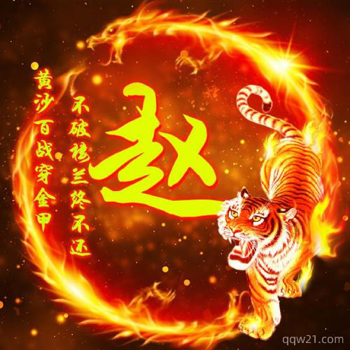 老虎为背景姓氏头像