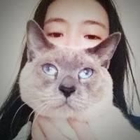 猫和老鼠头像