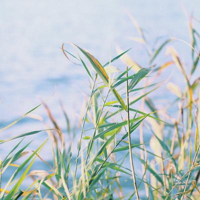 超长拉风网名