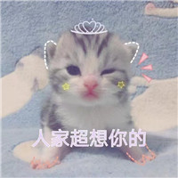 搞怪头像图片可保存