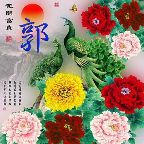 转运头像2023