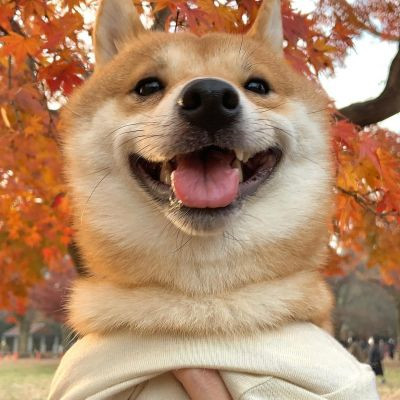 2023虎年招财头像
