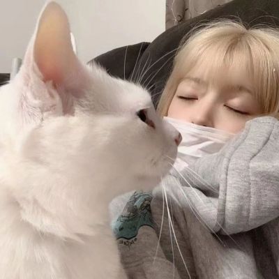 微信头像图片大全女中年