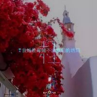 姓氏头像带字图片下载