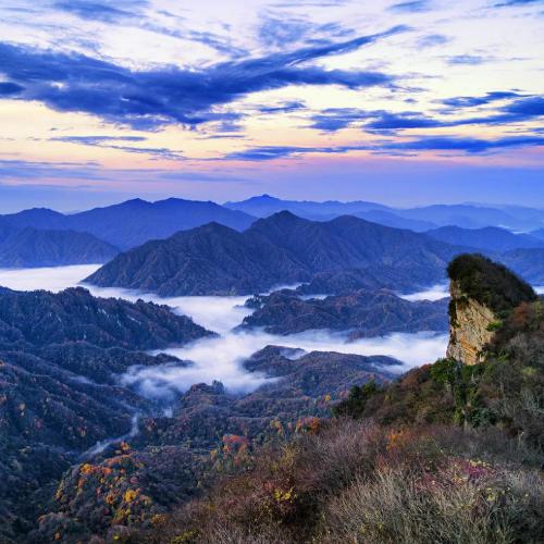 头像2023最火好看微信