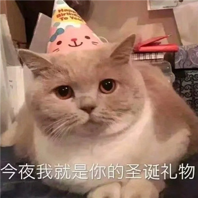 微信高级感头像