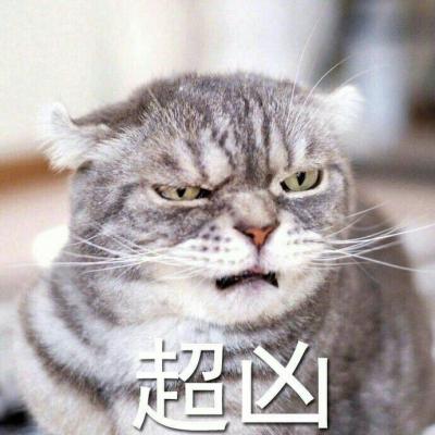 霸气动物头像