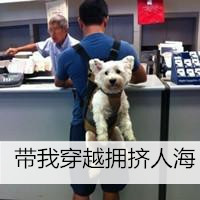 头像男搞笑男