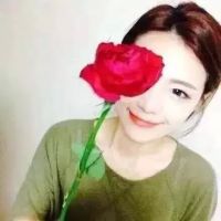 四叶草的微信网名女生