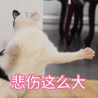 胡巴头像 动物
